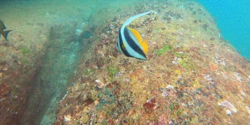 Snorkeling in Hikkaduwa - What to pack and what to leave behind