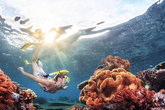 Snorkeling in Trincomalee - Key points to know before booking