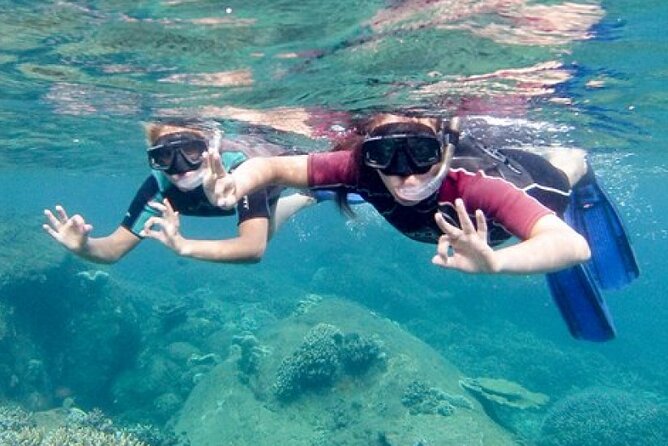 Snorkeling in Trincomalee - What the Trincomalee snorkeling trip is really like