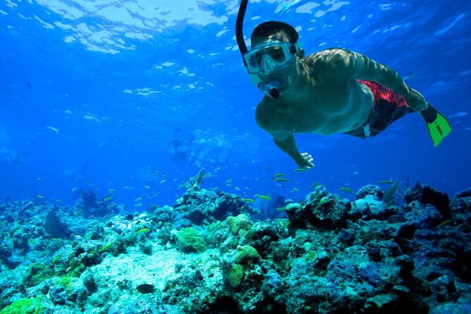 Snorkeling in Trincomalee - The rocky slope and the flock of pigeons