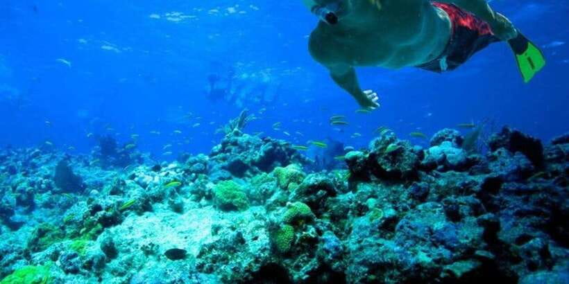 Snorkeling in Trincomalee - What to bring, and what to leave behind