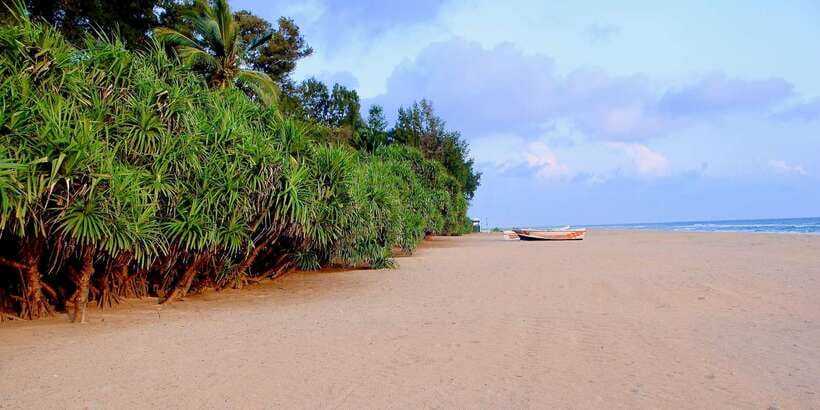 Snorkeling in Trincomalee - Is the $57 price good value?