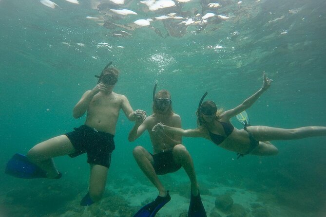 Snorkeling On Beautiful Rock Island - Unawatuna by Boat - Key points to know before booking