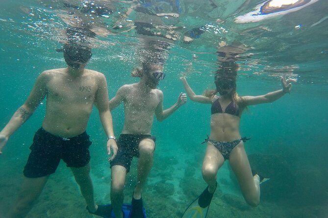 Snorkeling On Beautiful Rock Island - Unawatuna by Boat - What the two-hour outing is really like