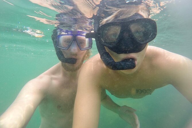 Snorkeling On Beautiful Rock Island - Unawatuna by Boat - Unawatuna Beach as your starting point