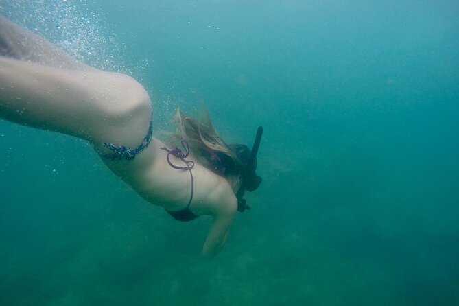 Snorkeling On Beautiful Rock Island - Unawatuna by Boat - Conditions can make or break the experience