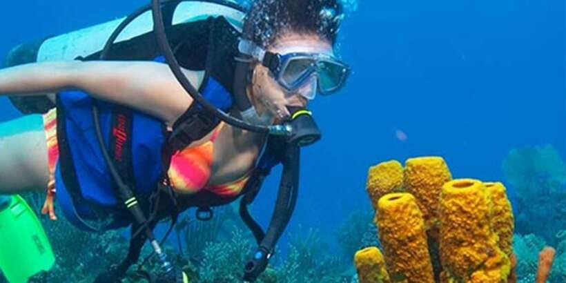 Snorkeling Trip from Polhena Beach, Matara, Sri Lanka - Key things to know before you book