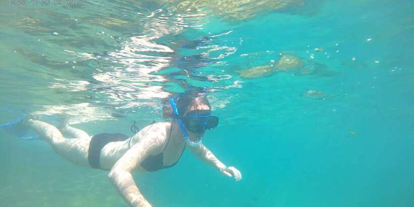 Snorkeling Trip from Polhena Beach, Matara, Sri Lanka - Who should book this experience?