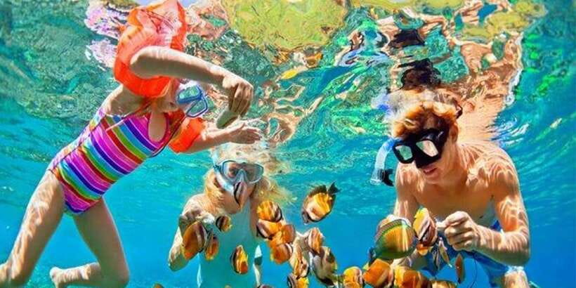 Snorkeling Trip from Polhena Beach, Matara, Sri Lanka - Polhena Beach puts the sea within easy reach