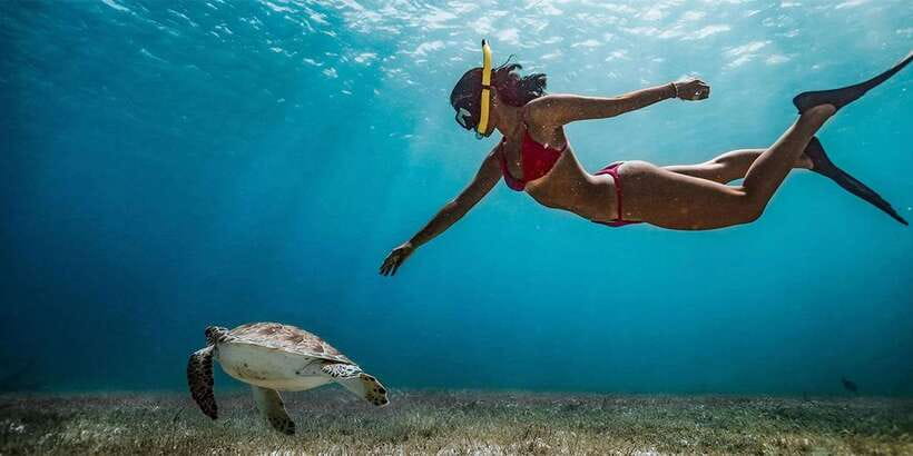 Snorkeling Trip from Polhena Beach, Matara, Sri Lanka - A short route with a clear purpose