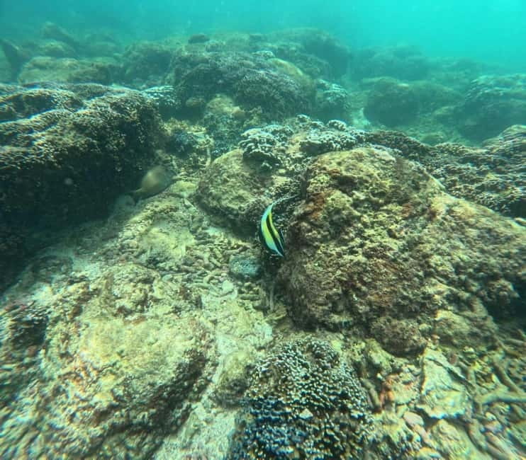 Snorkeling Trip To Angel Rock - Why Angel Rock is a smart alternative to Pigeon Island