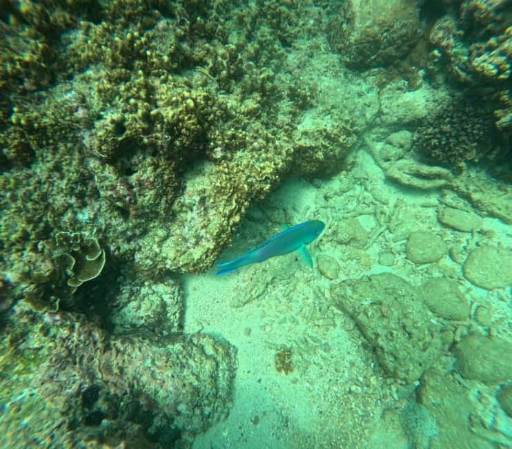 Snorkeling Trip To Angel Rock - The 15-minute speedboat ride to Angel Rock