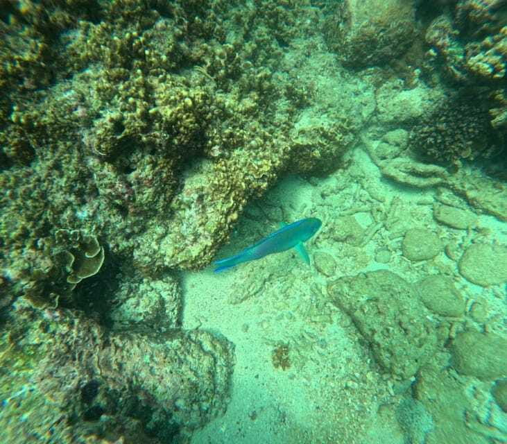 Snorkeling Trip To Angel Rock - What to bring and what to leave behind