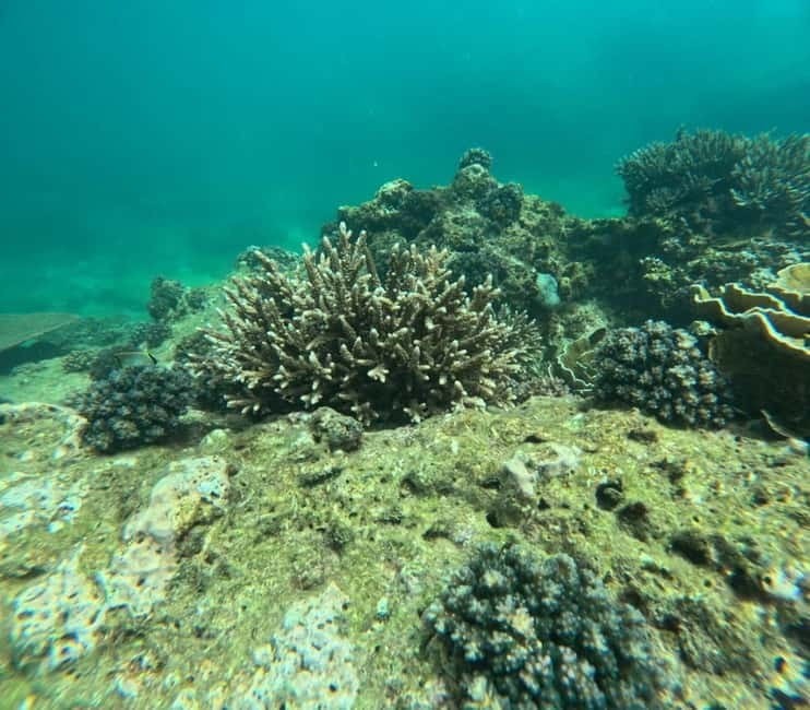 Snorkeling Trip To Angel Rock - Starting at the Pigeon Island Tours office