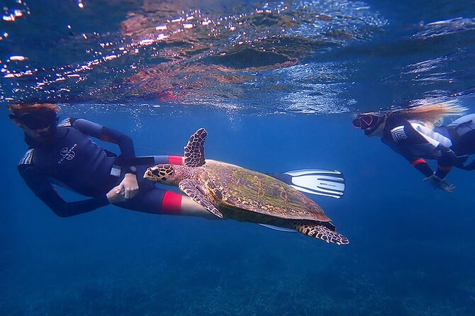 Snorkeling Trip To Pigeon Island - The real cost and the question of value