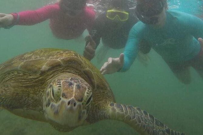 Snorkeling with Sea Turtles in Mirissa (Pickup and Drop included) - What $45 includes, and where the value lies