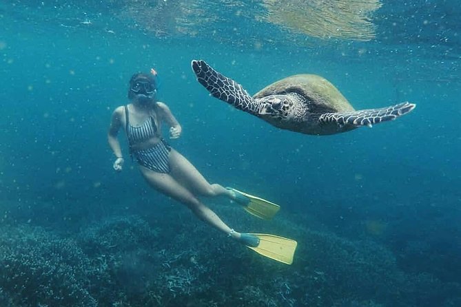 Snorkeling with Turtles in Mirissa - Entering the water from Mirissa Beach