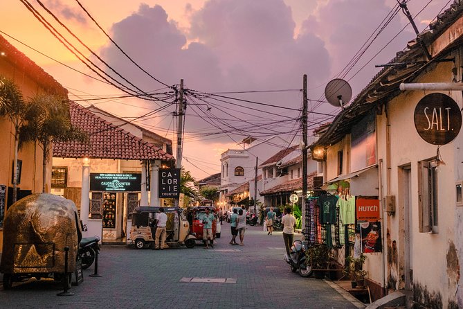 Southern Coast Highlights from Colombo - Who will get the most from this route