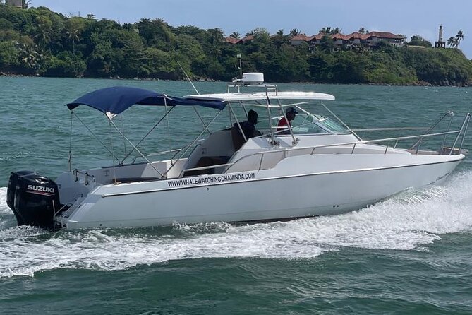 Sports Boat- Private Whale Watching Trip( free breakfast & paid pick-up) - What the $700 private price really means