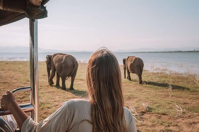Sri Lanka 03 night 04 days budget tour package - Driver-guides make the biggest difference