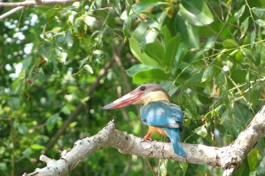 Sri Lanka: 2-Day wildlife tour; rainforest and National park - The overnight stop and the route question