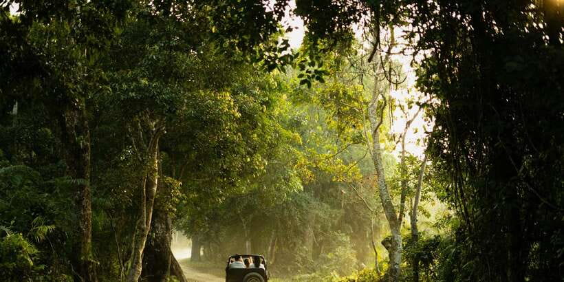 Sri Lanka: 2-Day wildlife tour; rainforest and National park - Ella to Nanu Oya by hill-country train