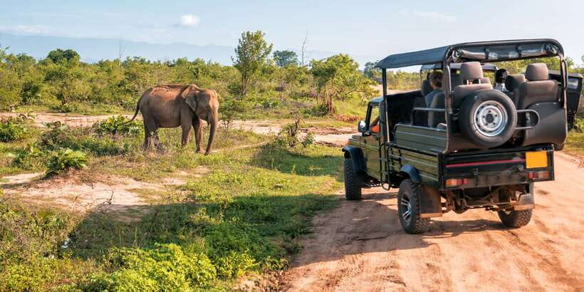 Sri Lanka: 2-Day wildlife tour; rainforest and National park - The hidden cost of a tightly packed schedule