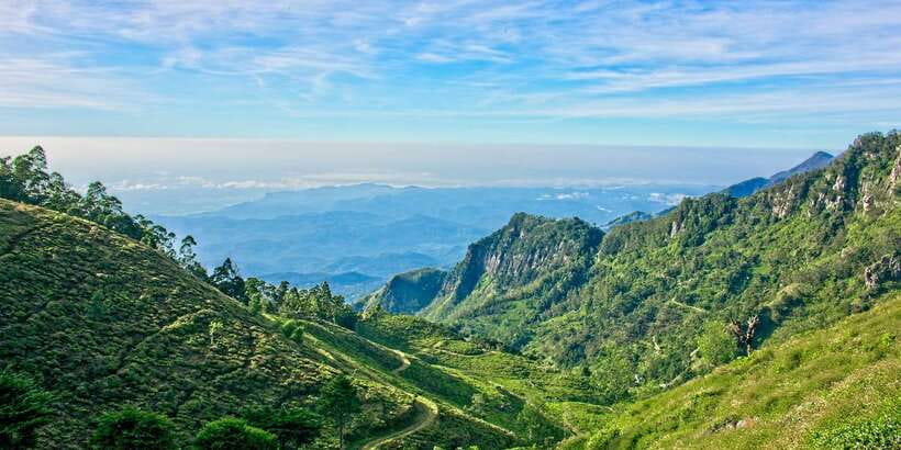 Sri Lanka: 2-Day wildlife tour; rainforest and National park - Your driver can shape the whole trip