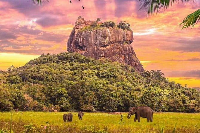 Sri Lanka 4 Day Private Tour - Day 4: Nuwara Eliya and the famous train to Ella