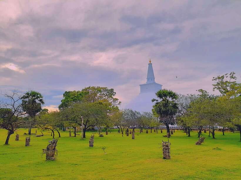 Sri Lanka: 4-Day Private Tour Focusing on Cultural Triangle - Kandy and the Temple of the Sacred Tooth