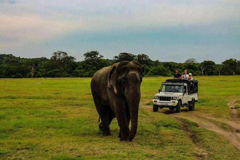Sri Lanka: 4N5Day guided FULL TOUR with hotel accommodations - Day 1: Dambulla caves and Sigiriya Rock