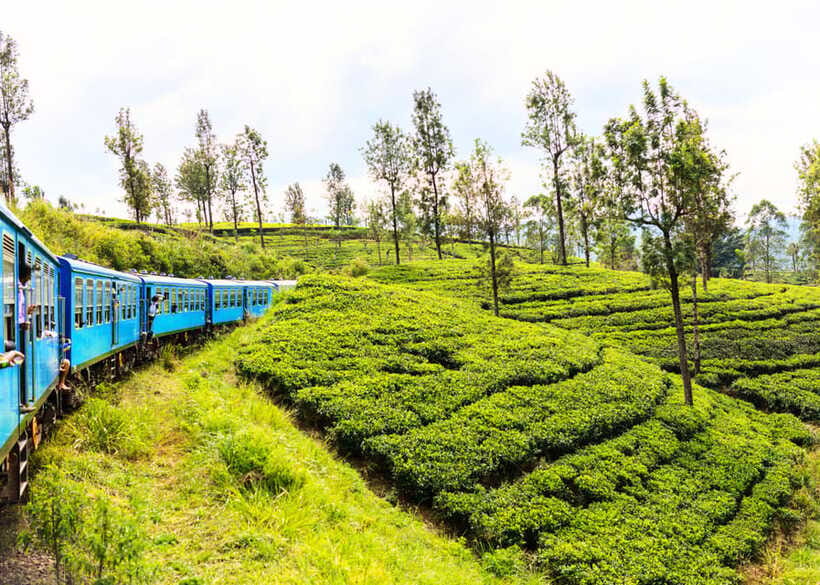 Sri Lanka 5-Day Private Country Side Tour Car, Hotels, Food - Key points at a glance