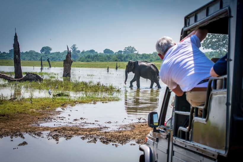Sri Lanka: 5 Days Multi City Sightseeing Tour - A five-day route through Sri Lanka’s cultural heart