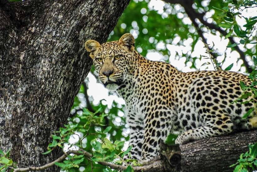 Sri Lanka: 7-Day Off-The-Beaten Path Private Tour - Key points to know before booking