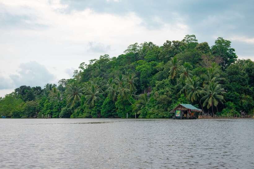 Sri Lanka Bentota: Private Mangrove Lagoon and River Cruise - Practical comfort and limitations