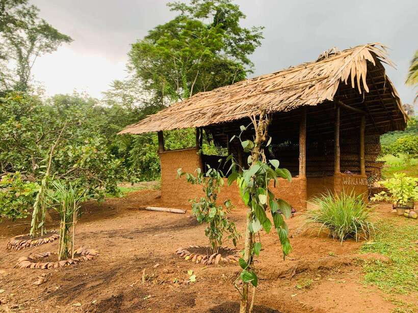 Sri Lanka: Ceylon Cinnamon Experience & Spice Garden Tour - A tasting built around fresh spices and fruit