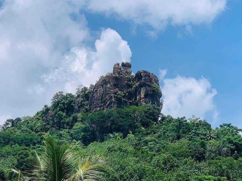 Sri Lanka: Ceylon Cinnamon Experience & Spice Garden Tour - What the three hours feel like