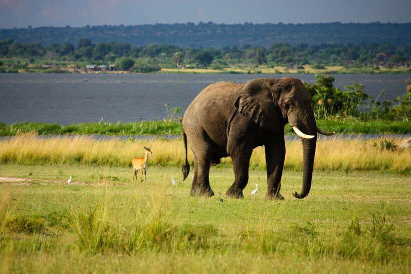Sri Lanka Cultural Triangle Private 2-Day Tour+Wildlife Tour - Polonnaruwa rewards careful attention