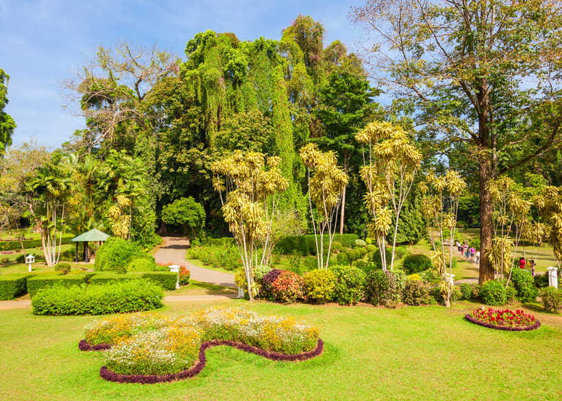 Sri Lanka Cultural Triangle Private 2-Day Tour+Wildlife Tour - Peradeniya gardens and the spice stop