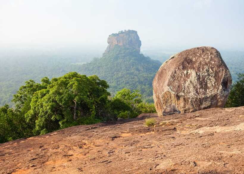 Sri Lanka Cultural Triangle Private 2-Day Tour+Wildlife Tour - Tea country in a short visit