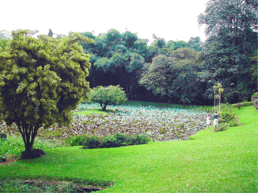 Sri Lanka Cultural Triangle Private 2-Day Tour+Wildlife Tour - Transport, timing, and comfort