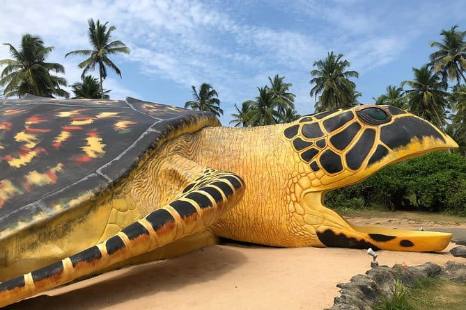 Sri Lanka Ella Private Day Tour Nine Arch & Elephant transit home - Food, timing, and what to bring