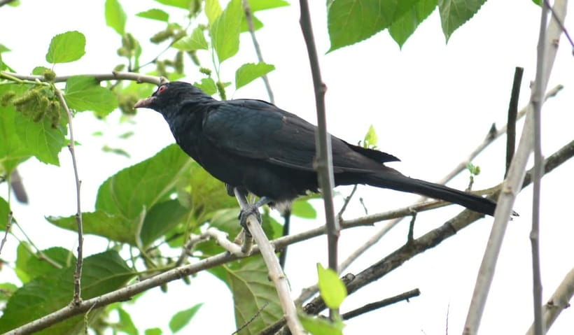 Sri Lanka Green Bless- 2-day Private Trip To Enjoy Nature - Key points to know before booking