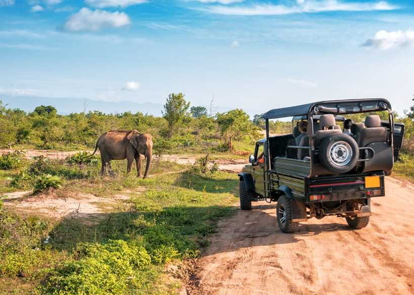 Sri Lanka Green Bless- 2-day Private Trip To Enjoy Nature - The overnight stop near Yala