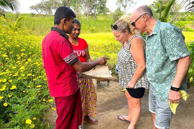 Sri Lanka in 06 Days - What the six-day route really gives you
