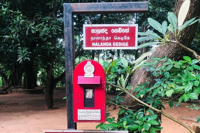Sri Lanka in 06 Days - Day 2: Dambulla, village life, and Minneriya elephants