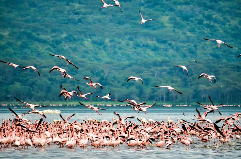 Sri Lanka Nature, culture, history and wildlife in 4 days - Day four: rainforest walking and Kitulgala rafting