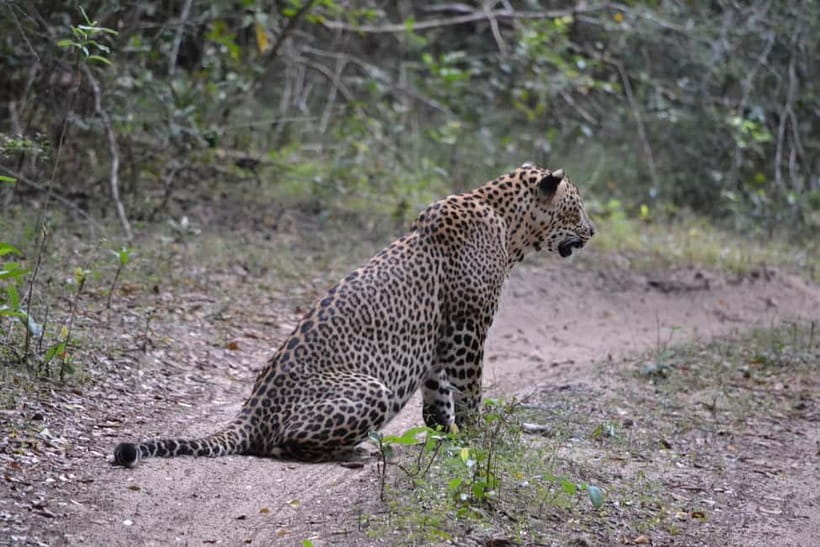 Sri Lanka Private 10-Day Round Tour Car, Guide, Hotels, Food - Transport, guides, and the pace of the trip