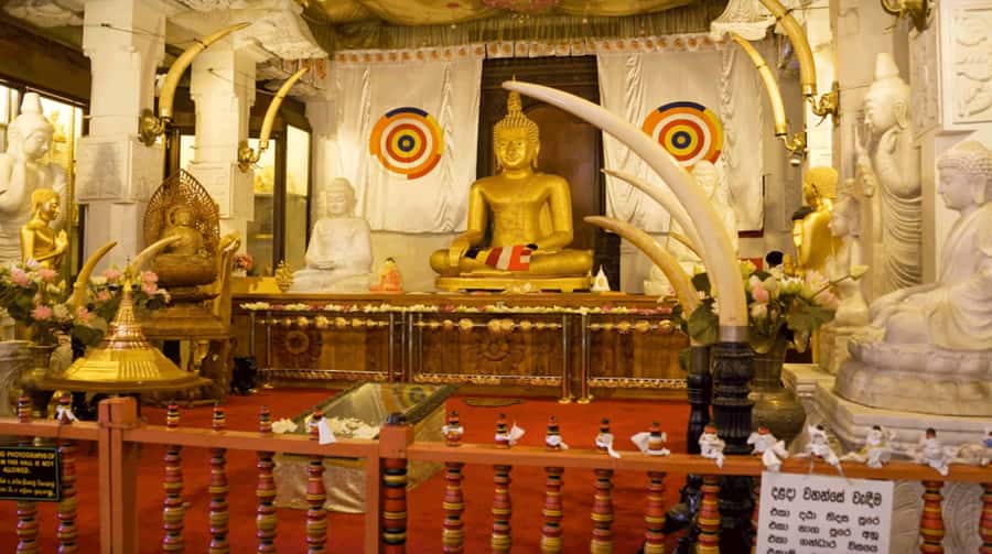 Sri Lanka Private 2-day Tour:Train Trip, Kandy, Nuwara Eliya - Peradeniya Royal Botanical Garden