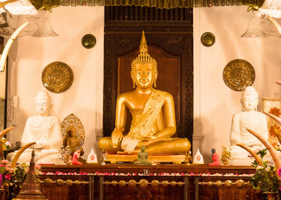 Sri Lanka Private 2-day Tour:Train Trip, Kandy, Nuwara Eliya - Kandyan drumming, dancing, and fire walking